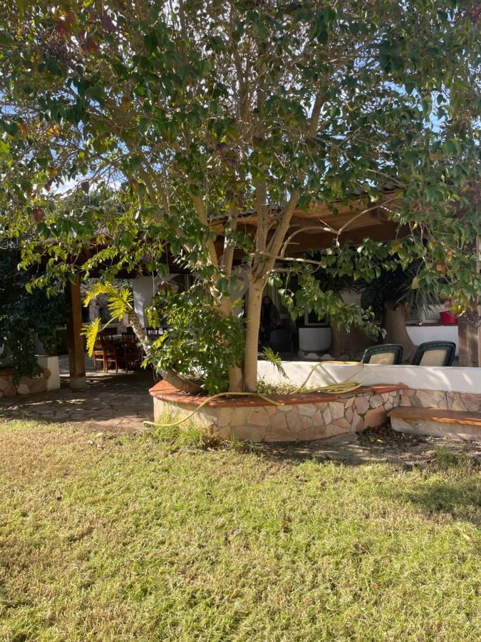 Villa Roy House Alghero Esterno foto